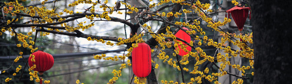 Welcome to Jing (Blog)